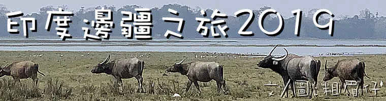 旅遊, Travel, 渡假, 觀光, sightseeing, South Asia, Hindu, 印度, India, West Bengal, Kolkata, Darjeeling, Assam, Guwahati, Kaziranga, safari, 西孟加拉邦, 加爾各答, 大吉嶺, 阿薩姆邦, 古瓦哈提, 加濟蘭加, 犀牛, rhino