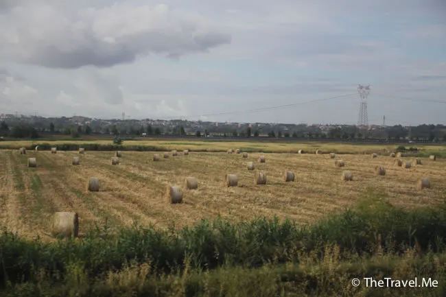 粗眉仔, 旅遊, 文化遺產, 藝術, 歐洲, 意大利, 梵蒂岡, 羅馬, 翡冷翠, 佛羅倫斯, 拿波里, 那不勒斯, 龐貝, 古蹟, 文藝復興, travel, Europe, Italy, Rome, Napoli, Florence, Renaissance, Pompeii, relics, Vatican
