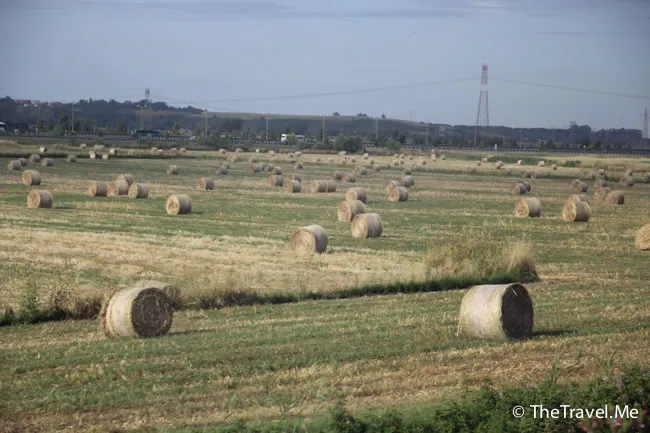 粗眉仔, 旅遊, 文化遺產, 藝術, 歐洲, 意大利, 梵蒂岡, 羅馬, 翡冷翠, 佛羅倫斯, 拿波里, 那不勒斯, 龐貝, 古蹟, 文藝復興, travel, Europe, Italy, Rome, Napoli, Florence, Renaissance, Pompeii, relics, Vatican