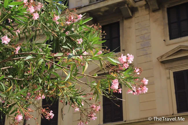 粗眉仔, 旅遊, 文化遺產, 藝術, 歐洲, 意大利, 梵蒂岡, 羅馬, 翡冷翠, 佛羅倫斯, 拿波里, 那不勒斯, 龐貝, 古蹟, 文藝復興, travel, Europe, Italy, Rome, Napoli, Florence, Renaissance, Pompeii, relics, Vatican
