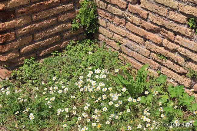 粗眉仔, 旅遊, 文化遺產, 藝術, 歐洲, 意大利, 梵蒂岡, 羅馬, 翡冷翠, 佛羅倫斯, 拿波里, 那不勒斯, 龐貝, 古蹟, 文藝復興, travel, Europe, Italy, Rome, Napoli, Florence, Renaissance, Pompeii, relics, Vatican