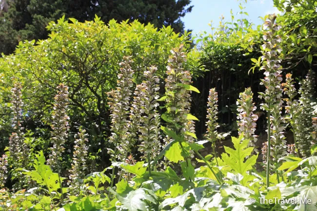 粗眉仔, 旅遊, 文化遺產, 藝術, 歐洲, 意大利, 梵蒂岡, 羅馬, 翡冷翠, 佛羅倫斯, 拿波里, 那不勒斯, 龐貝, 古蹟, 文藝復興, travel, Europe, Italy, Rome, Napoli, Florence, Renaissance, Pompeii, relics, Vatican