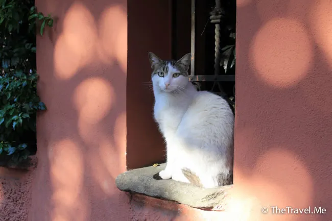 粗眉仔, 旅遊, 文化遺產, 藝術, 歐洲, 意大利, 梵蒂岡, 羅馬, 翡冷翠, 佛羅倫斯, 拿波里, 那不勒斯, 龐貝, 古蹟, 文藝復興, travel, Europe, Italy, Rome, Napoli, Florence, Renaissance, Pompeii, relics, Vatican