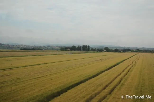 粗眉仔, 旅遊, 文化遺產, 藝術, 歐洲, 意大利, 梵蒂岡, 羅馬, 翡冷翠, 佛羅倫斯, 拿波里, 那不勒斯, 龐貝, 古蹟, 文藝復興, travel, Europe, Italy, Rome, Napoli, Florence, Renaissance, Pompeii, relics, Vatican