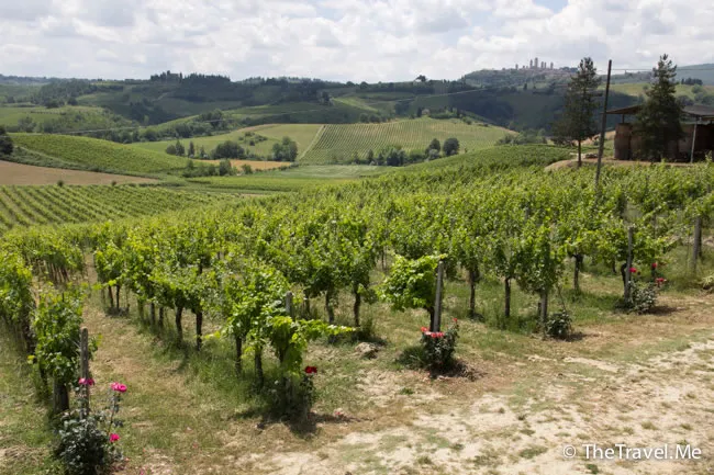 粗眉仔, 旅遊, 文化遺產, 藝術, 歐洲, 意大利, 梵蒂岡, 羅馬, 翡冷翠, 佛羅倫斯, 拿波里, 那不勒斯, 龐貝, 古蹟, 文藝復興, travel, Europe, Italy, Rome, Napoli, Florence, Renaissance, Pompeii, relics, Vatican