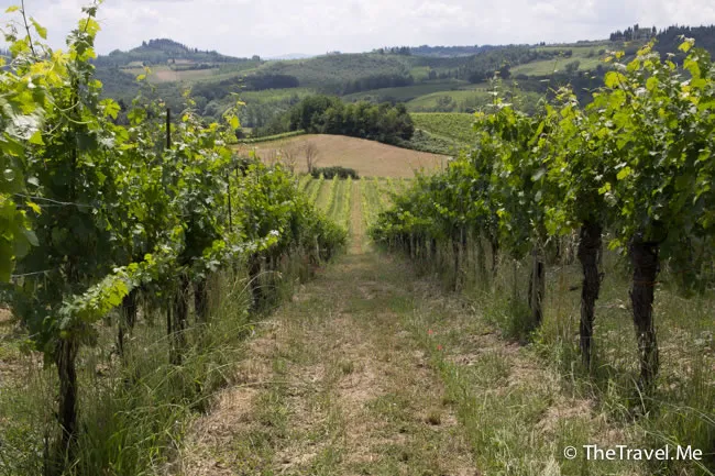 粗眉仔, 旅遊, 文化遺產, 藝術, 歐洲, 意大利, 梵蒂岡, 羅馬, 翡冷翠, 佛羅倫斯, 拿波里, 那不勒斯, 龐貝, 古蹟, 文藝復興, travel, Europe, Italy, Rome, Napoli, Florence, Renaissance, Pompeii, relics, Vatican