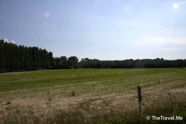 粗眉仔, 旅遊, 文化遺產, 藝術, 歐洲, 意大利, 梵蒂岡, 羅馬, 翡冷翠, 佛羅倫斯, 拿波里, 那不勒斯, 龐貝, 古蹟, 文藝復興, travel, Europe, Italy, Rome, Napoli, Florence, Renaissance, Pompeii, relics, Vatican