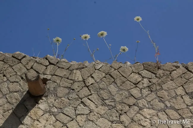 粗眉仔, 旅遊, 文化遺產, 藝術, 歐洲, 意大利, 梵蒂岡, 羅馬, 翡冷翠, 佛羅倫斯, 拿波里, 那不勒斯, 龐貝, 古蹟, 文藝復興, travel, Europe, Italy, Rome, Napoli, Florence, Renaissance, Pompeii, relics, Vatican