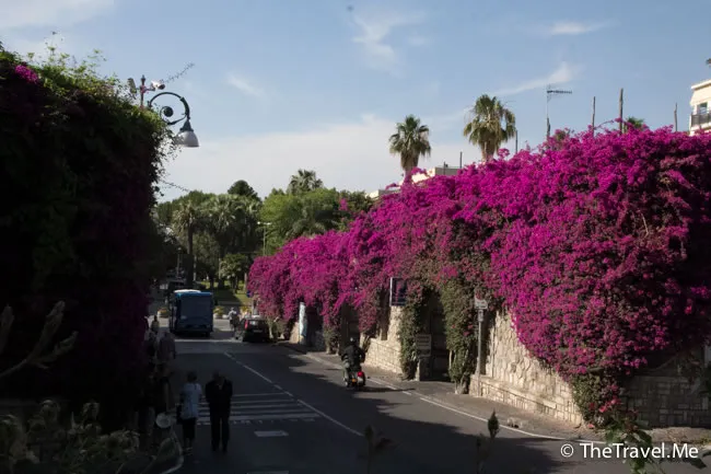 粗眉仔, 旅遊, 文化遺產, 藝術, 歐洲, 意大利, 梵蒂岡, 羅馬, 翡冷翠, 佛羅倫斯, 拿波里, 那不勒斯, 龐貝, 古蹟, 文藝復興, travel, Europe, Italy, Rome, Napoli, Florence, Renaissance, Pompeii, relics, Vatican, sorrento