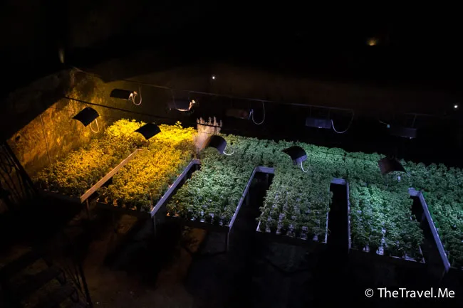 粗眉仔, 旅遊, 文化遺產, 藝術, 歐洲, 意大利, 梵蒂岡, 羅馬, 翡冷翠, 佛羅倫斯, 拿波里, 那不勒斯, 龐貝, 古蹟, 文藝復興, travel, Europe, Italy, Rome, Napoli, Florence, Renaissance, Pompeii, relics, Vatican